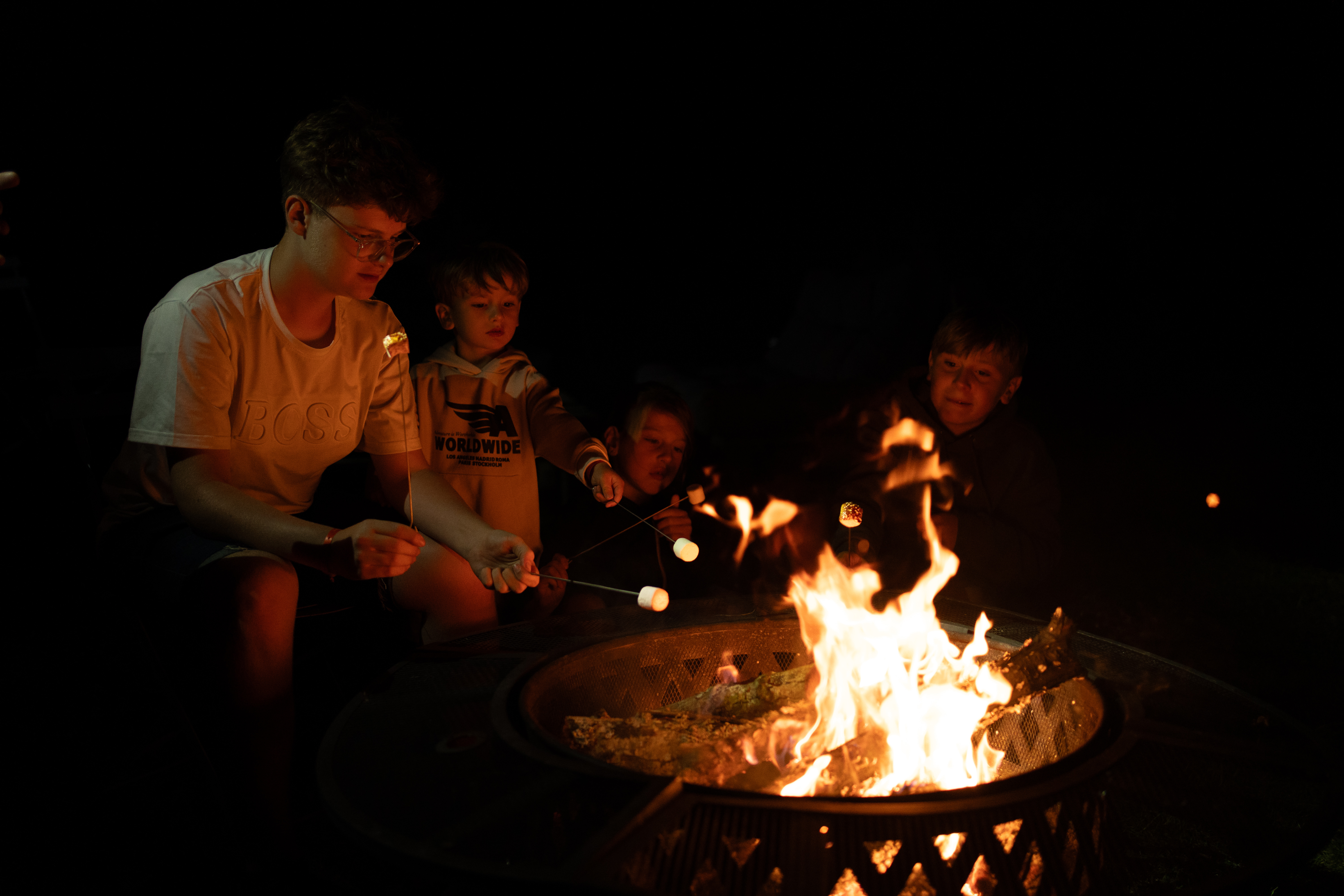 cani-randonnée nocturne